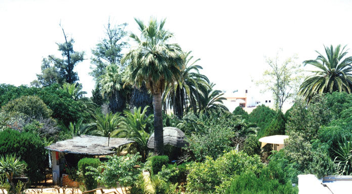 Jardín Azahara: una mansión, baile entre palmeras, piscina de cristal y un fantasma Jardín Azahara
